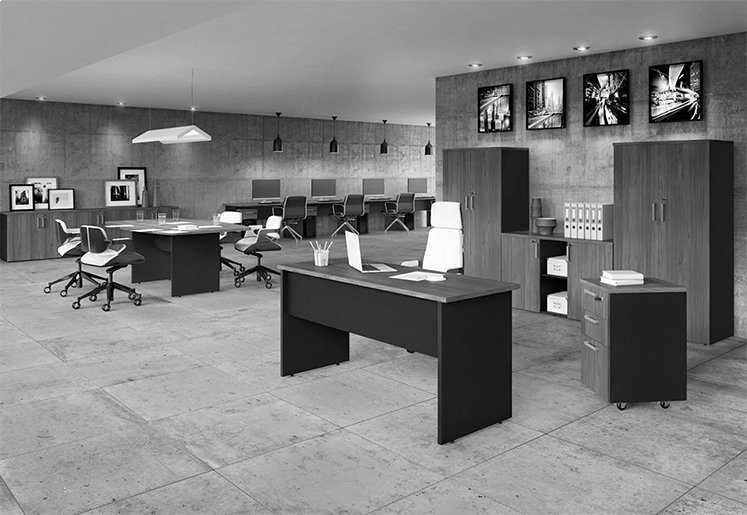 Criação da marca Lettera